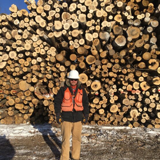midwest forest products